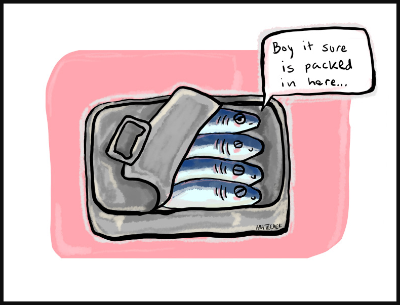 Sardine tin postcard